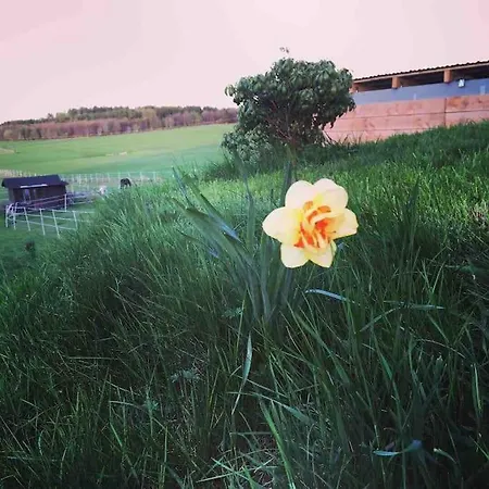 Fewomonciao2019-panorama 2pers Bis Max4pers * Monschau