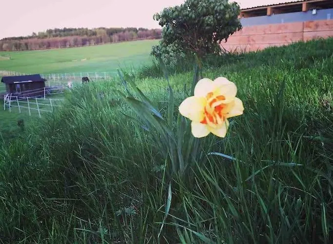 Fewomonciao2019-panorama 2pers Bis Max4pers * Monschau