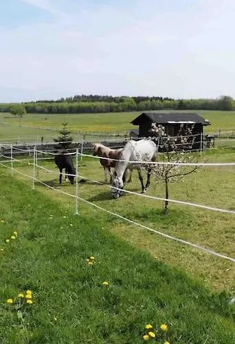 Fewomonciao2019-panorama 2pers Bis Max4pers Lejlighed Monschau