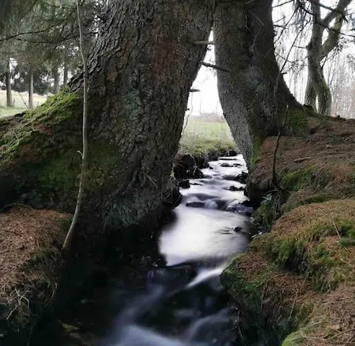 Fewomonciao2019-panorama 2pers Bis Max4pers Lejlighed *